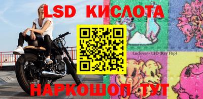 прущие грибы Кингисепп