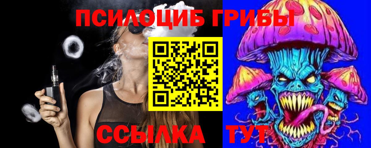 Псилоцибиновые грибы Psilocybine cubensis Балтийск