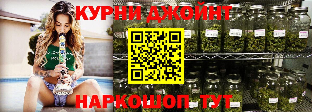 Бошки Шишки планчик Балтийск